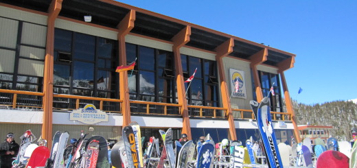 Skis in front of chalet